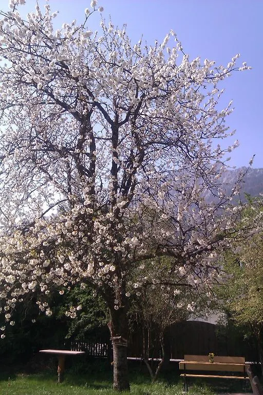 Eva'S Ferienwohnungen Bad Reichenhall