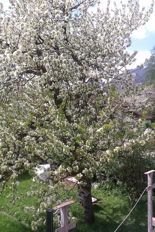 Eva's Ferienwohnung Bad Reichenhall